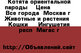 Котята ориентальной пароды  › Цена ­ 12 000 - Все города, Москва г. Животные и растения » Кошки   . Ингушетия респ.,Магас г.